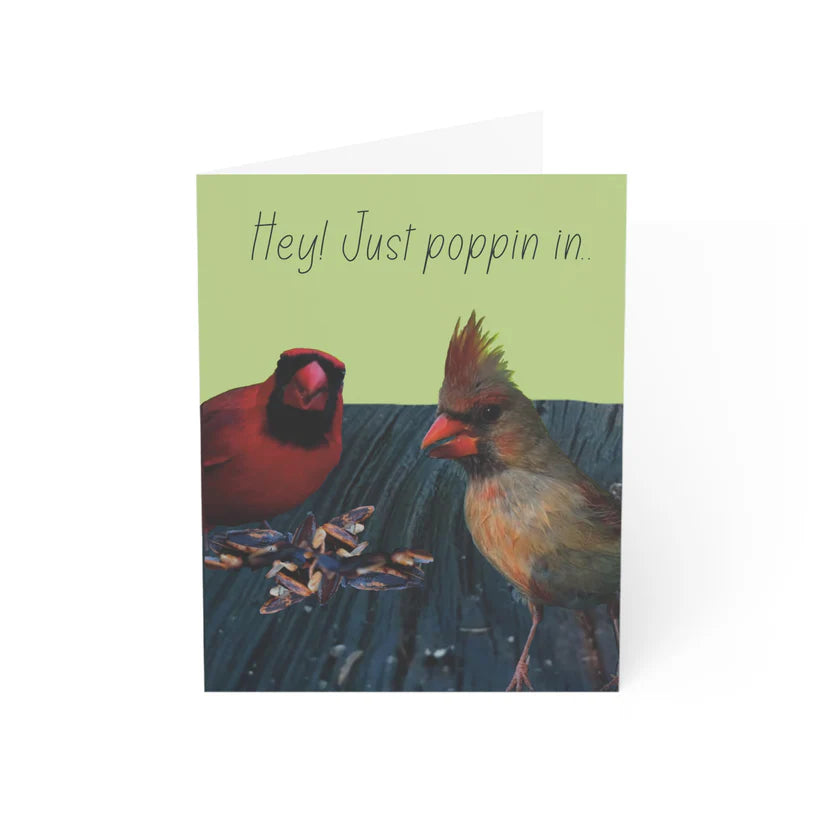 Greeting_Card_-_Cardinal_Birds_looking_at_the_camera