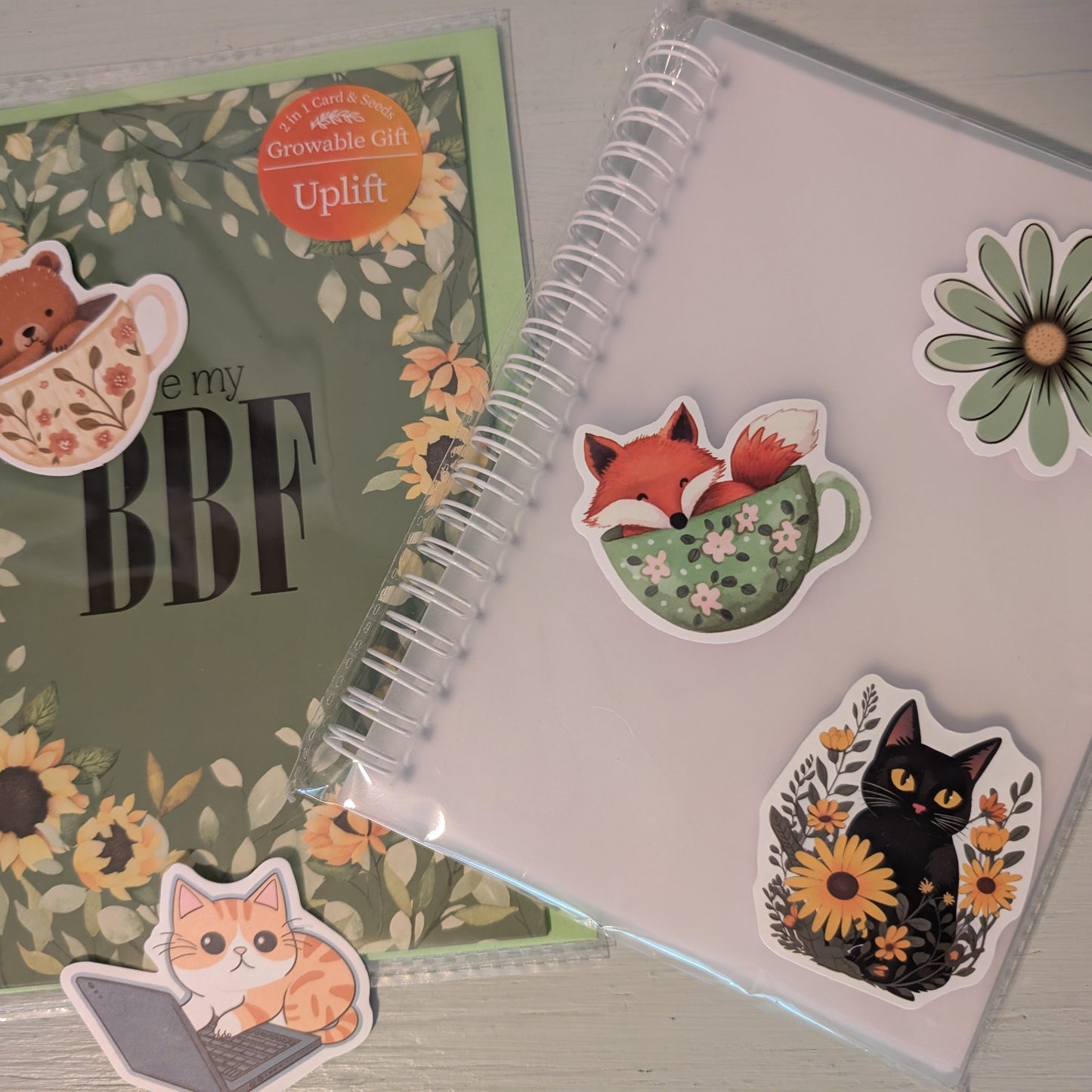 Reusable Clear Sticker Book with Stickers