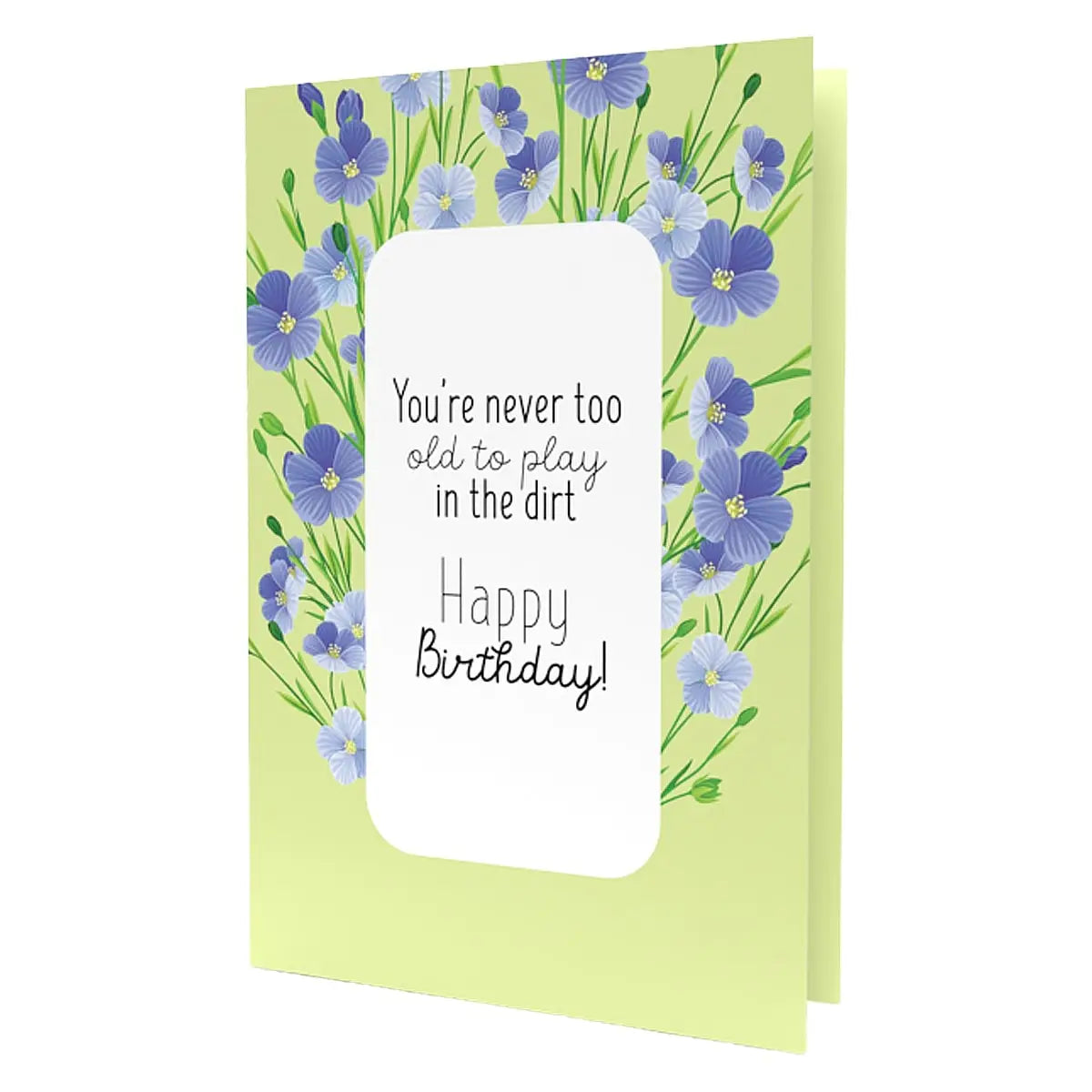 Never too old Birthday greeting card front