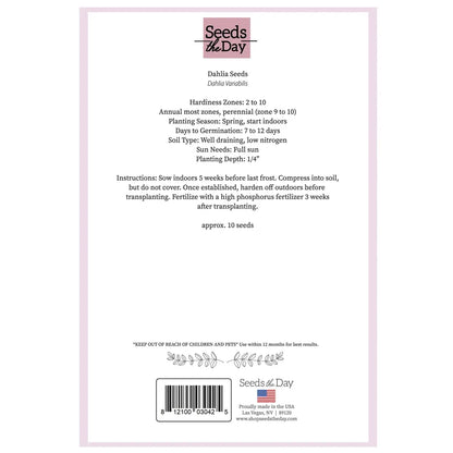 Finally Wedding Greeting Card back