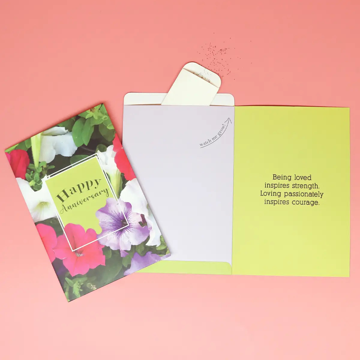 Happy Anniversary Petunia greeting card front and back