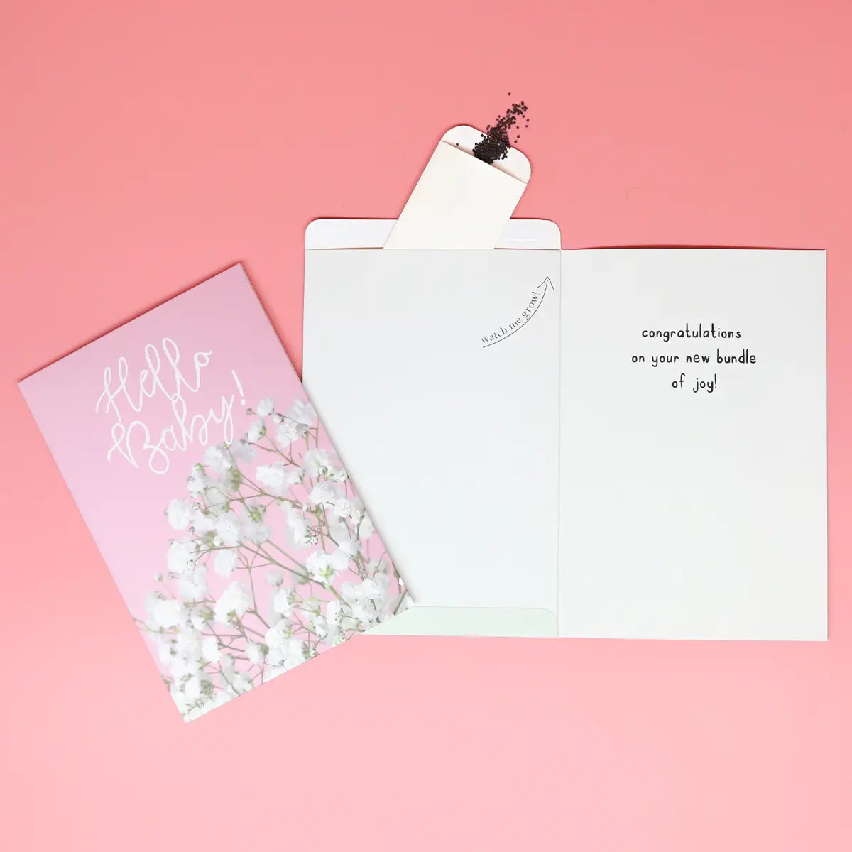 Hello baby breath greeting card front and back